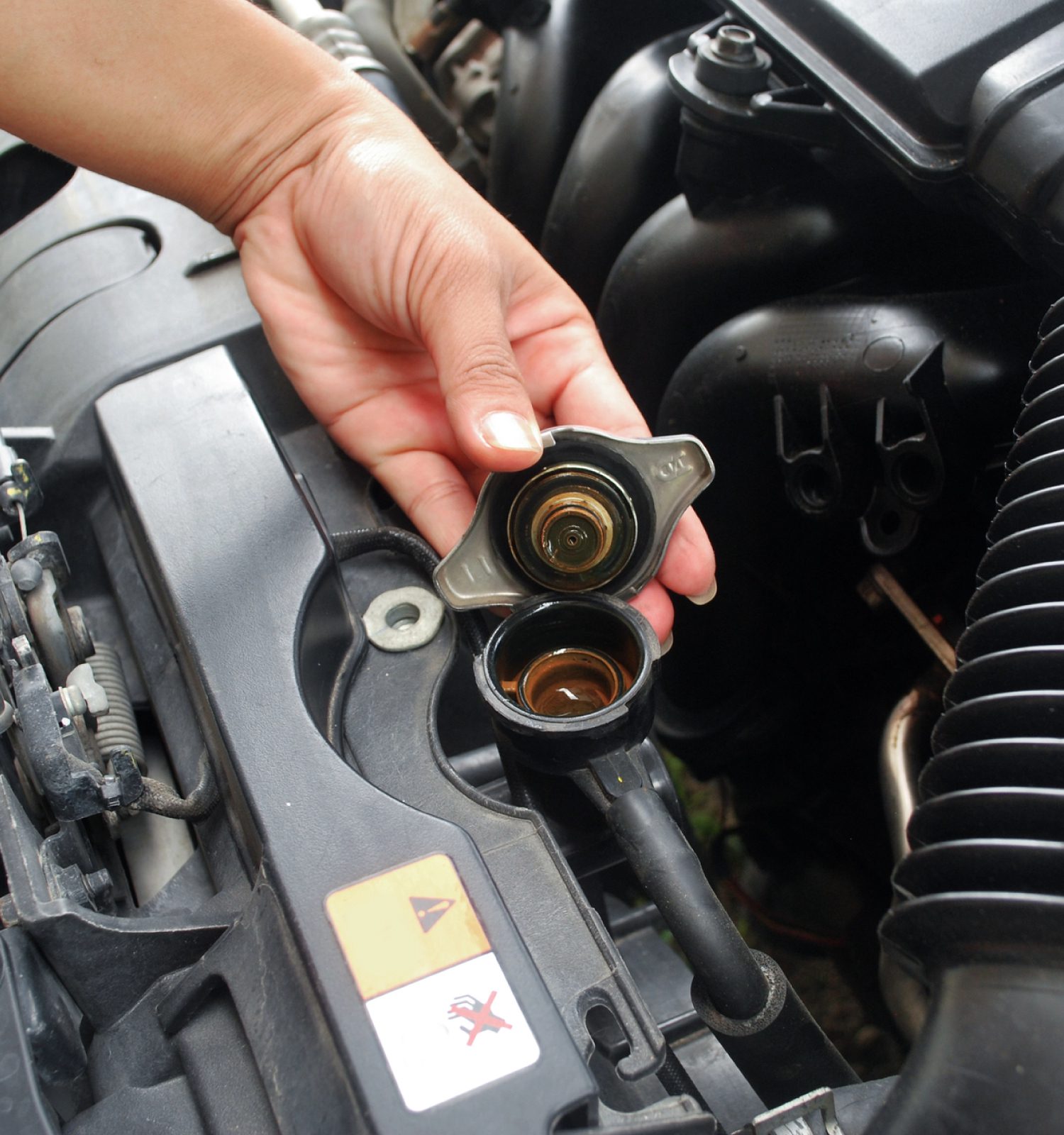 mechanic looking at the radiator of a vehicle - ADL Auto Repair & Driveshafts