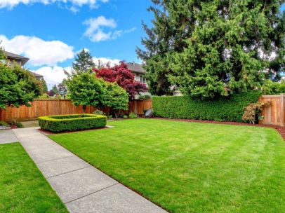 lush green backyard in a Centerville neighborhood - ADL Auto Repair & Driveshafts